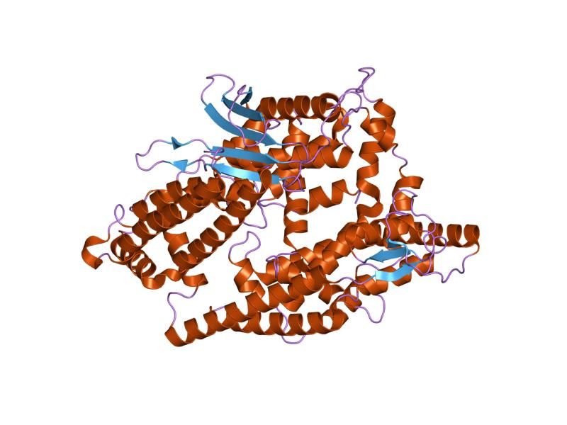 File:PDB 1s4b EBI.jpg