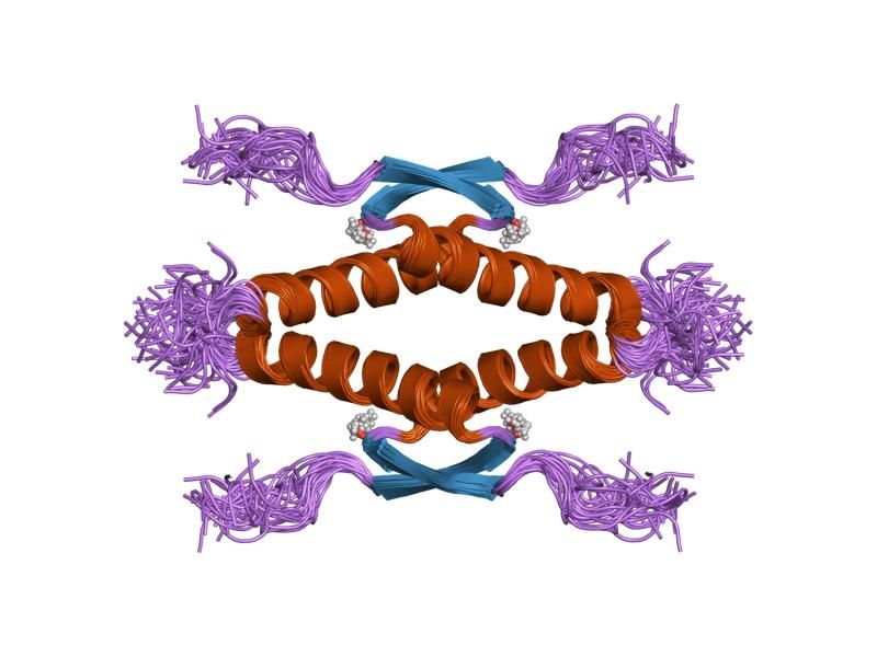 File:PDB 1sag EBI.jpg