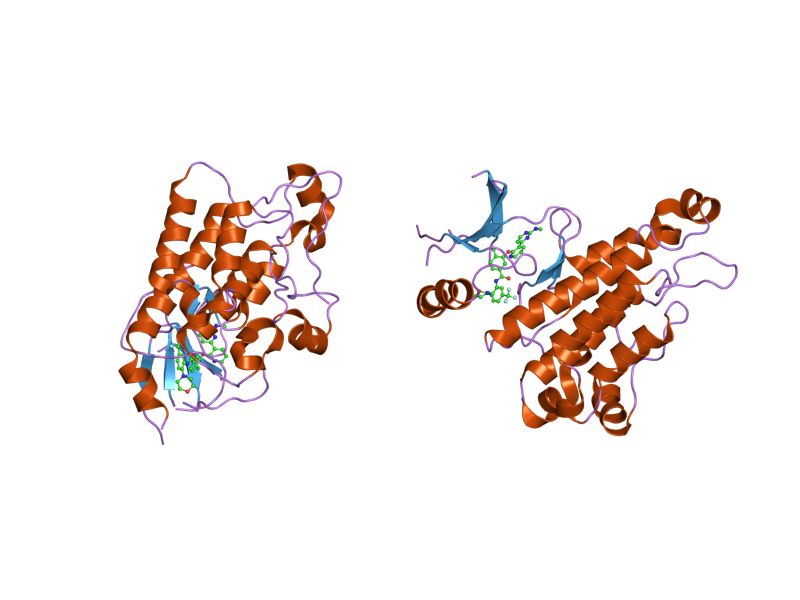 File:PDB 2p4i EBI.png