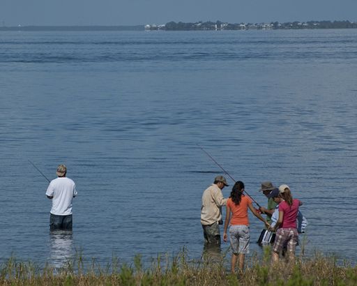 File:Six Wade Fishing By Carole Robertson.jpg