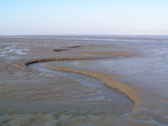 File:Tidal flats.jpg