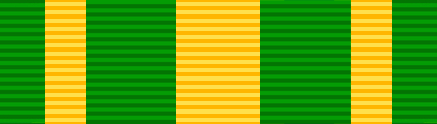 File:USA - FL Commendation.png