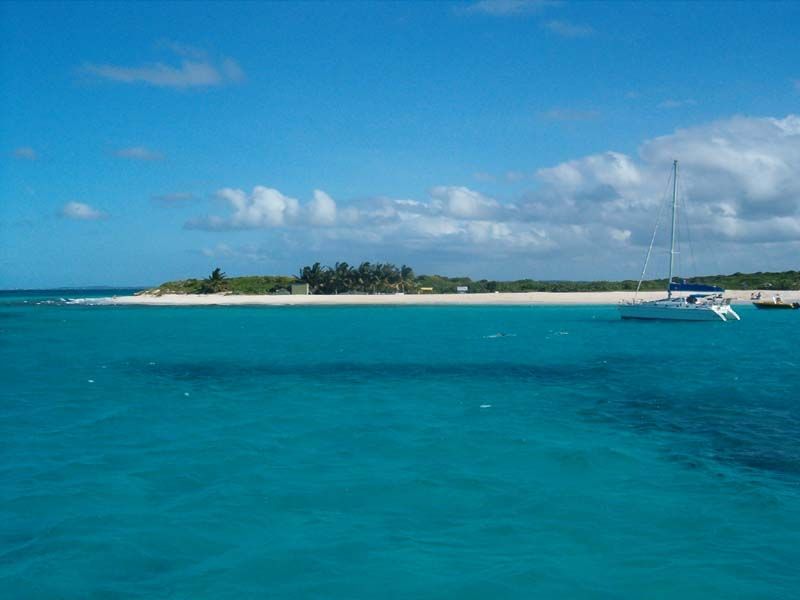 File:Anguilla Prickly-Pear.jpg