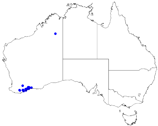 File:Boronia oxyantha DistMap86.png