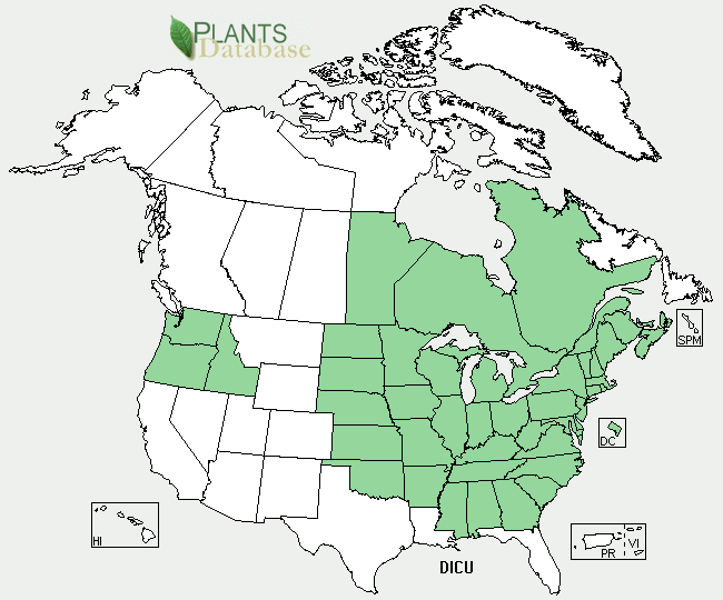 File:Dicentra cucullaria US-dist-map.png