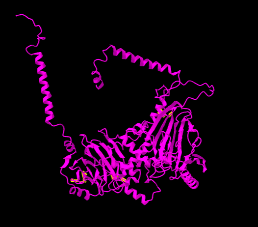 File:Disulfide Bonds iCn3D.png