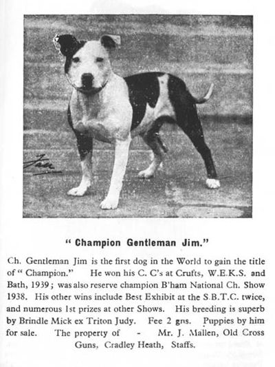 File:Gentleman Jim sbt.jpg