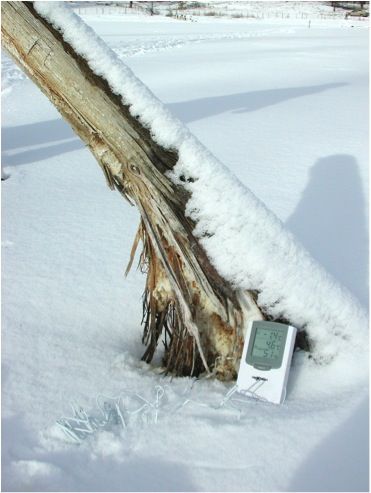 File:Meridianiite on a Wooden Post.jpg