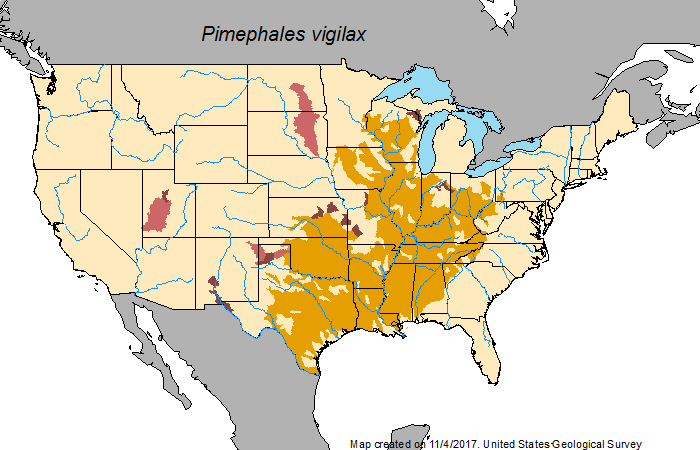 File:P. vigilax range map.png