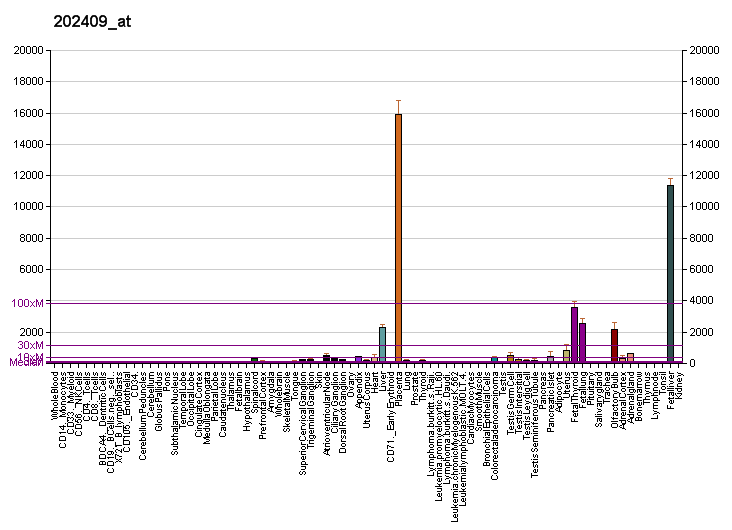 File:PBB GE IGF2 202409 at fs.png