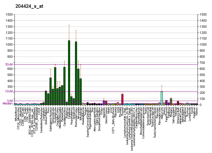 File:PBB GE LMO3 204424 s at fs.png