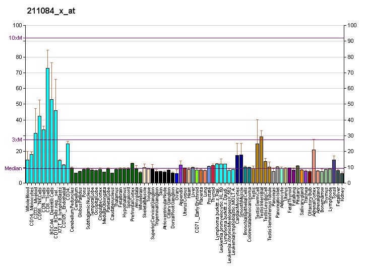 File:PBB GE PRKD3 211084 x at fs.png