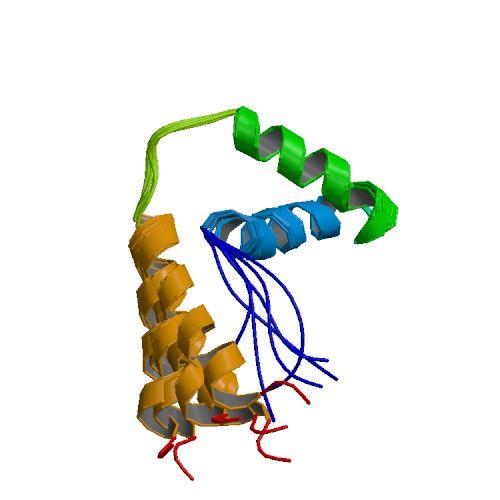 File:PBB Protein SOX6 image.jpg