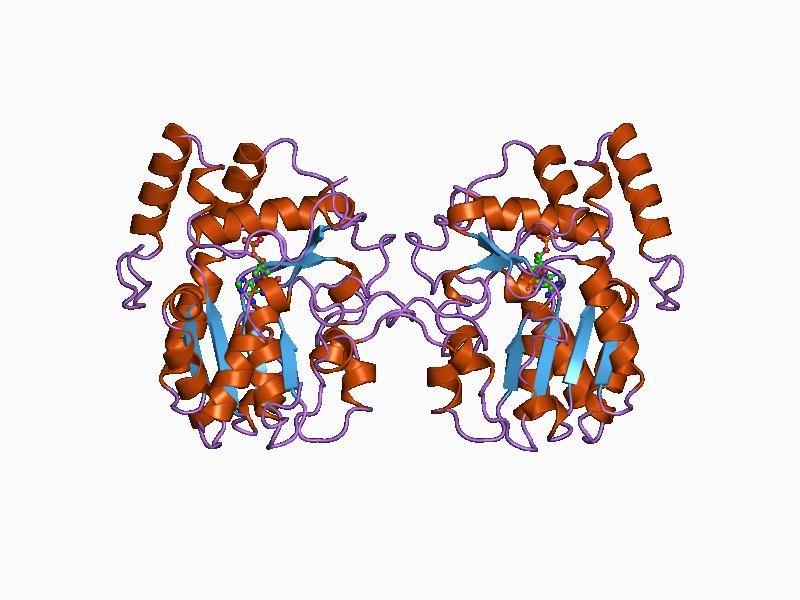 File:PDB 1aqy EBI.jpg