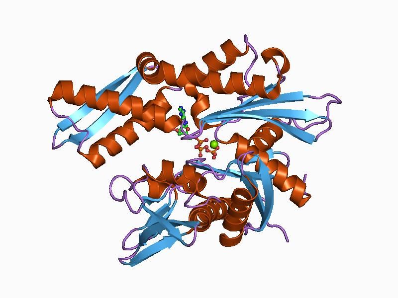 File:PDB 1atr EBI.jpg