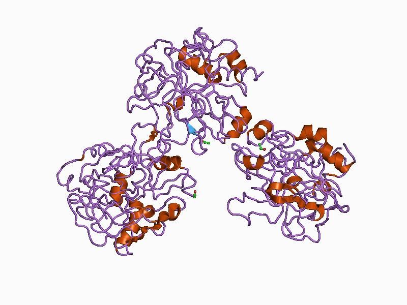 File:PDB 1bbr EBI.jpg