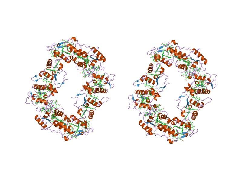 File:PDB 1h29 EBI.jpg