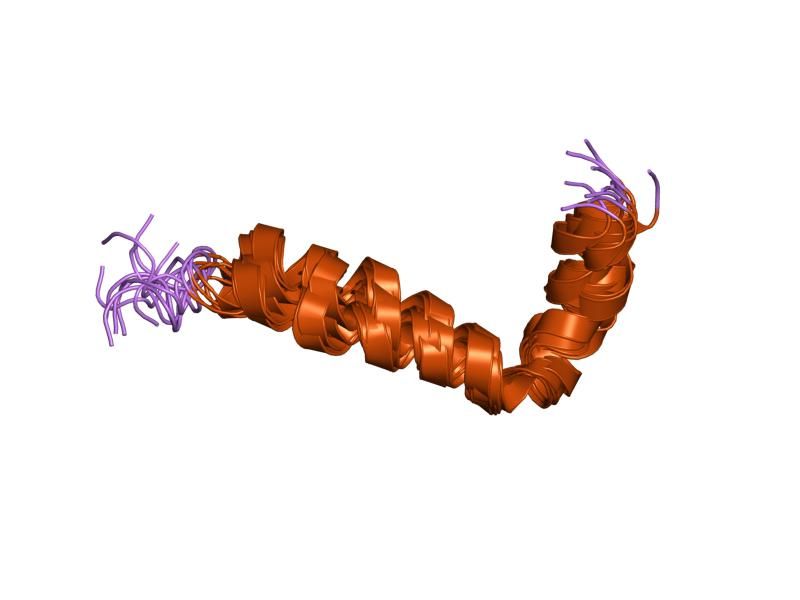 File:PDB 1iyt EBI.jpg