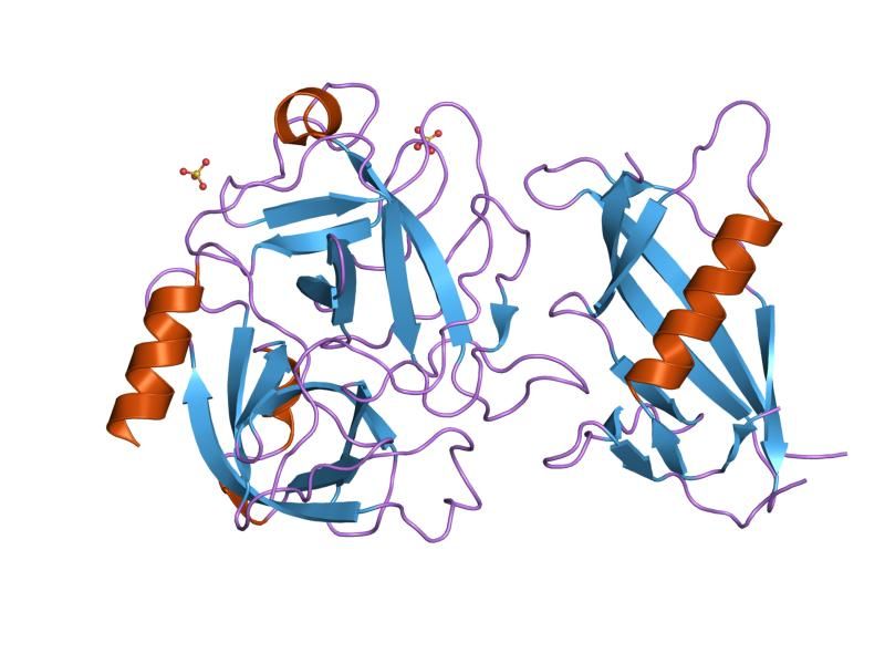 File:PDB 1l4d EBI.jpg