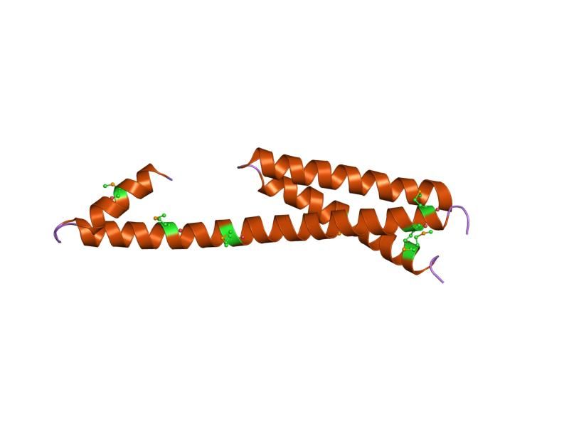 File:PDB 1naf EBI.jpg