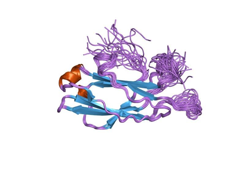 File:PDB 1v27 EBI.jpg