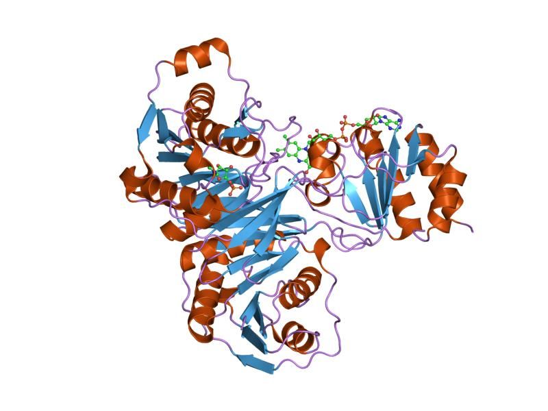 File:PDB 2a1u EBI.jpg