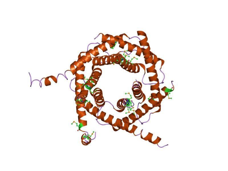 File:PDB 2bsk EBI.jpg