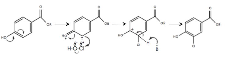 Arrow pushing mechanism of the formation of a mono-chlorinated paraben.