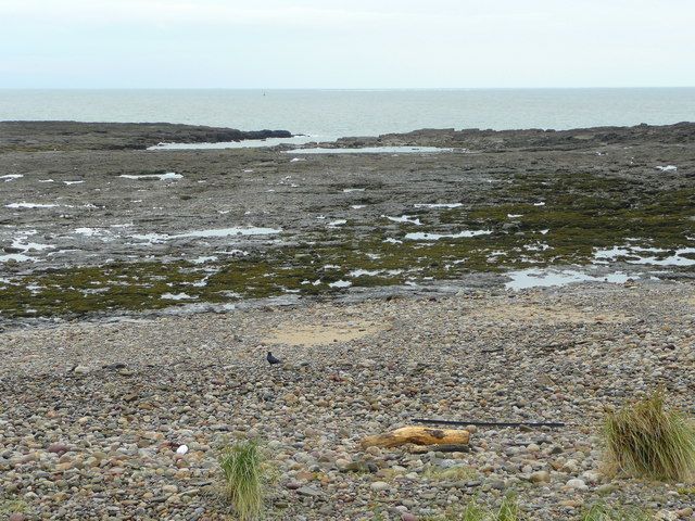 File:Pwll Dafan - geograph.org.uk - 1006077.jpg