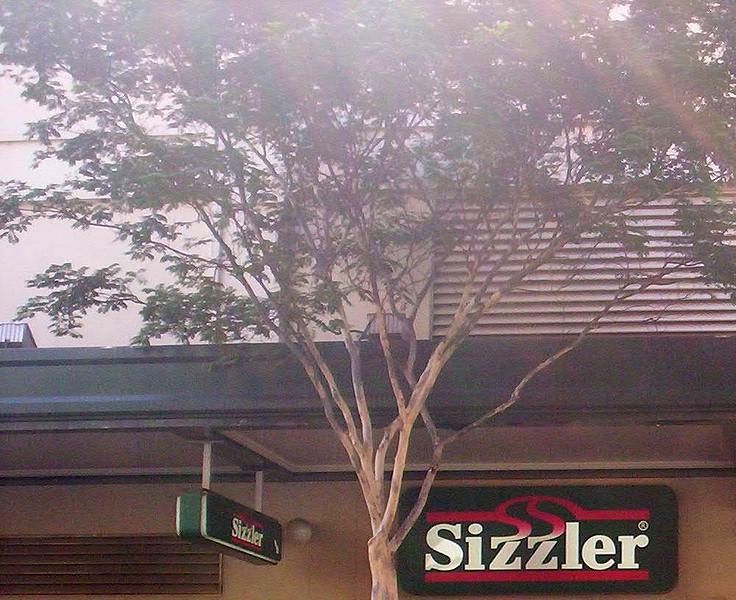 File:Sign-for-Sizzler-Myer-Centre-Brisbane.jpg