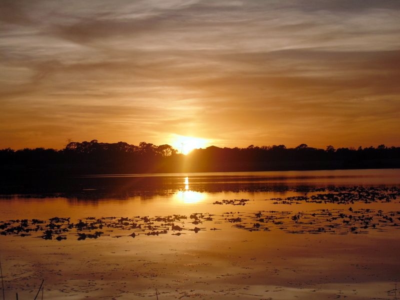 File:Sunset at Bill Frederick Park.JPG