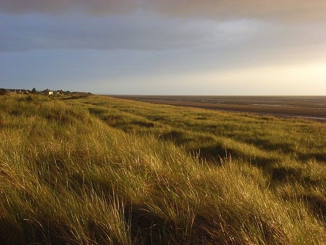 File:Wolsty Bank - geograph.org.uk - 573025.jpg