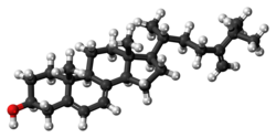 Ball-and-stick model of 5-dehydroepisterol