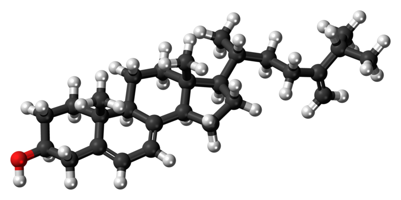 File:5-Dehydroepisterol molecule ball.png