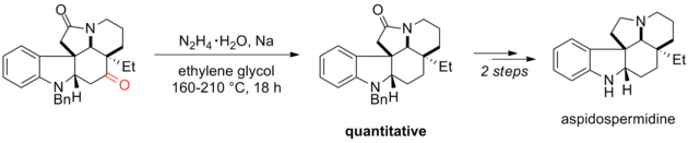 Scheme 18. Synthsesis of Aspidospermidine