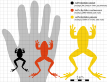 Silhouettes of a human hand and three frogs.