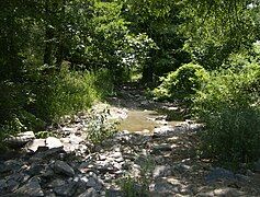 The river in Bulgaria