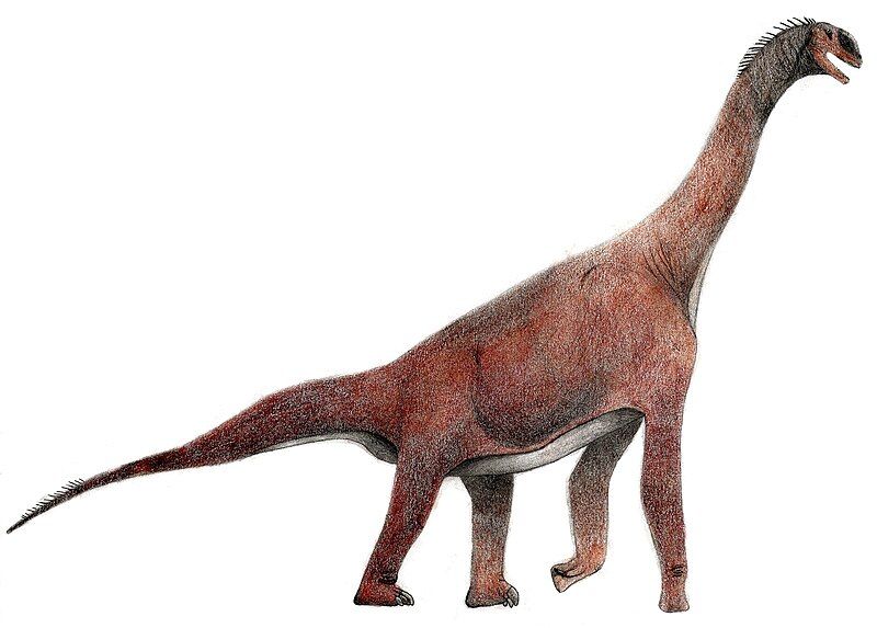 File:Atlasaurus.jpg