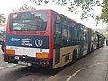 Image 117MAN NG 313 F articulated bus, bodied by Castrosua (CS 40) in TMB, Barcelona. (from Articulated bus)