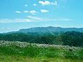 Black Mountain-Kentucky's highest point.