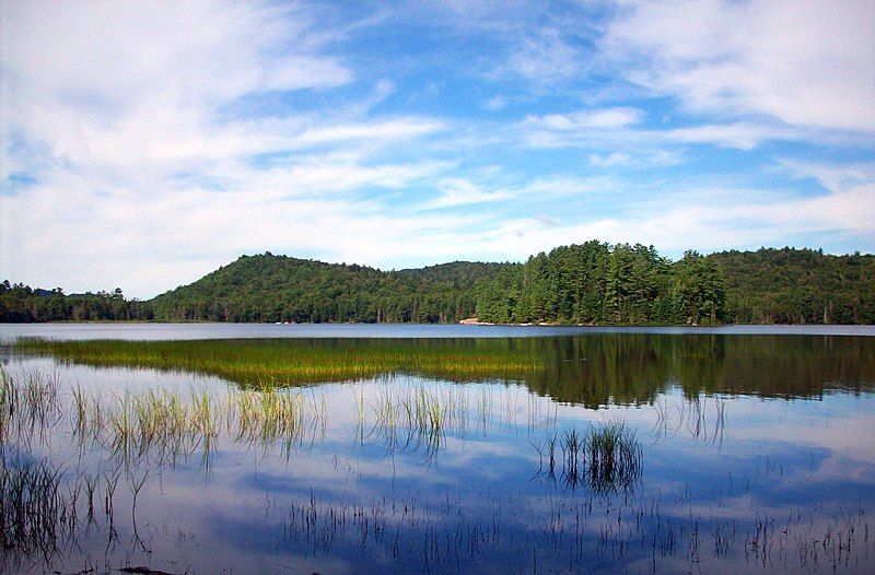 File:Brown Tract Pond.jpg