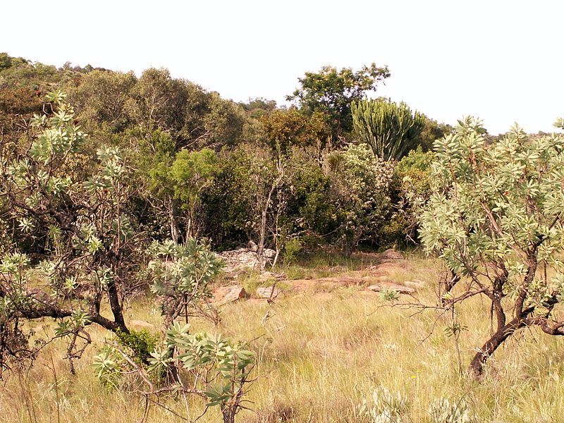 File:Bushveld.jpg