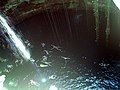 Cenote, Quintana Roo, Mexico