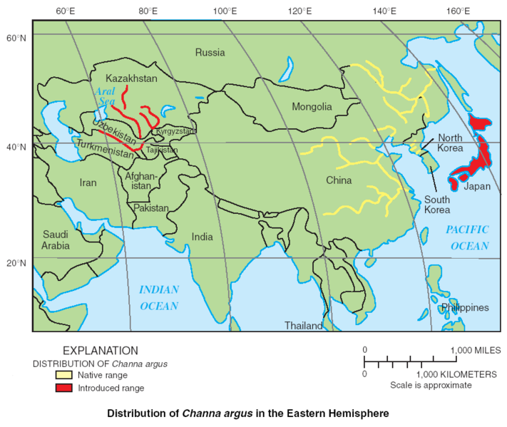 File:Channa argus distribution.png