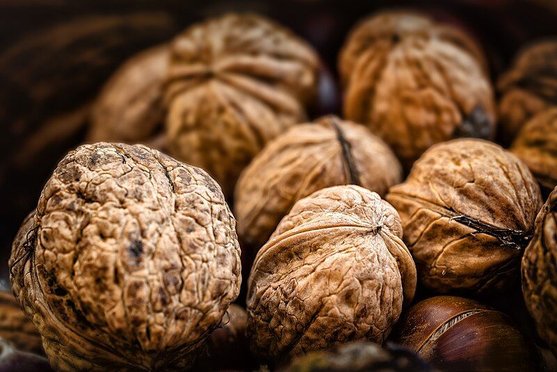 File:Freshly collected Walnuts.jpg