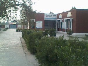 A middle school of Basti Islamabad.