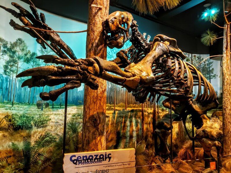 File:Giant ground sloth.jpg