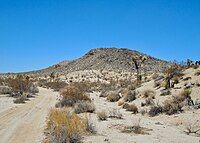 Backcountry road off of Olympic Road in Joshua Tree