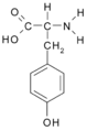 Tyrosine (Tyr / Y)