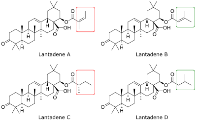 Lantadenes A-D chemical structures